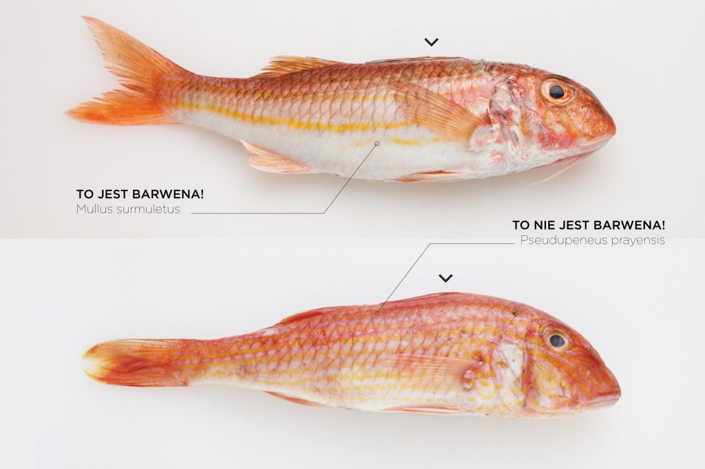 barweny