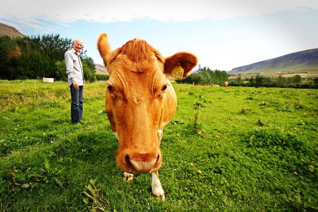 farmer-657341_1280